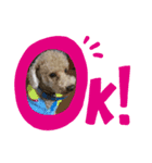 ぼくはそら！（個別スタンプ：1）