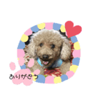 ぼくはそら！（個別スタンプ：3）