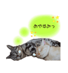 琥珀の仲間①（個別スタンプ：6）