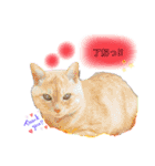 琥珀の仲間①（個別スタンプ：8）