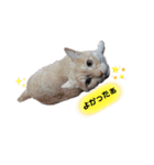 琥珀の仲間①（個別スタンプ：15）