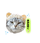 琥珀の仲間①（個別スタンプ：17）