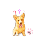 コーギーのりんりん（個別スタンプ：8）