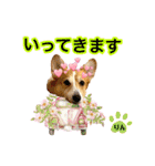コーギーのりんりん（個別スタンプ：9）