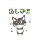 毎日モカ姫（個別スタンプ：1）