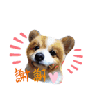 陸＆空くん一家と友達（個別スタンプ：1）