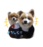 陸＆空くん一家と友達（個別スタンプ：7）
