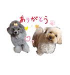 陸＆空くん一家と友達（個別スタンプ：8）