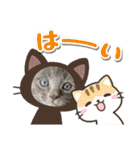 陸＆空くん一家と友達（個別スタンプ：12）