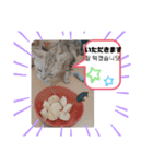 べりー＆みーこ＆ポッキー1（個別スタンプ：8）