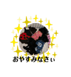 トイプードル KotsubUmefamily（個別スタンプ：12）