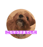 LAURU Part2（個別スタンプ：5）