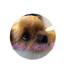 LAURU Part2（個別スタンプ：6）