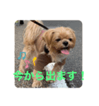 LAURU Part2（個別スタンプ：12）