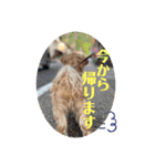 LAURU Part2（個別スタンプ：13）