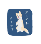 お仕事ボーダーコリー（執事）（個別スタンプ：1）