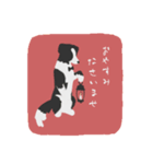 お仕事ボーダーコリー（執事）（個別スタンプ：2）