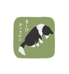 お仕事ボーダーコリー（執事）（個別スタンプ：7）