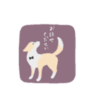 お仕事ボーダーコリー（執事）（個別スタンプ：8）