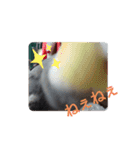 オカメインコの琥珀（個別スタンプ：9）