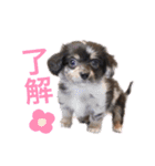 ノア☺︎No.1（個別スタンプ：1）