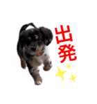 ノア☺︎No.1（個別スタンプ：3）