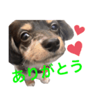 ノア☺︎No.1（個別スタンプ：5）