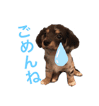 ノア☺︎No.1（個別スタンプ：6）