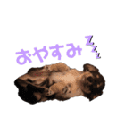 ノア☺︎No.1（個別スタンプ：8）