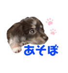 ノア☺︎No.1（個別スタンプ：13）