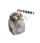 ふくちゃん＆ビリー（個別スタンプ：4）