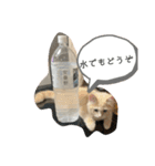 ゆるっとまめちゃん（個別スタンプ：6）