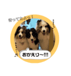 しぇるてぃ ぱーと3（個別スタンプ：15）
