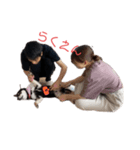 マロちゃびんの日常（個別スタンプ：6）