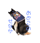 マロちゃびんの日常（個別スタンプ：8）