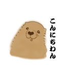 長沢の犬（全16種）（個別スタンプ：1）