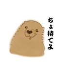 長沢の犬（全16種）（個別スタンプ：12）