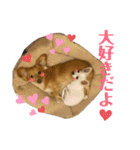 けんぴち♡さのぴち②（個別スタンプ：16）