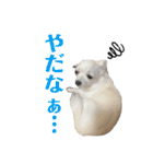 けんぴち♡さのぴち②（個別スタンプ：25）