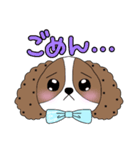シーズー犬の翔ちゃんハルちゃんスタンプ（個別スタンプ：7）