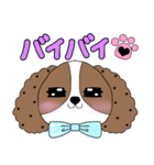 シーズー犬の翔ちゃんハルちゃんスタンプ（個別スタンプ：10）
