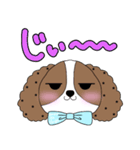 シーズー犬の翔ちゃんハルちゃんスタンプ（個別スタンプ：15）