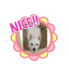 ウェスティスタンプ Westie Stamp（個別スタンプ：2）