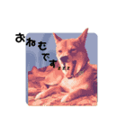 しばいぬ三ちゃん（個別スタンプ：18）