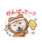 柴犬スマ。（個別スタンプ：10）