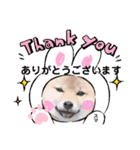 柴犬スマ。（個別スタンプ：11）
