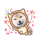 柴犬スマ。（個別スタンプ：17）