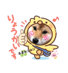 柴犬スマ。（個別スタンプ：18）