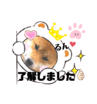 柴犬スマ。（個別スタンプ：21）