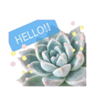 みんなの多肉植物lovely（個別スタンプ：2）